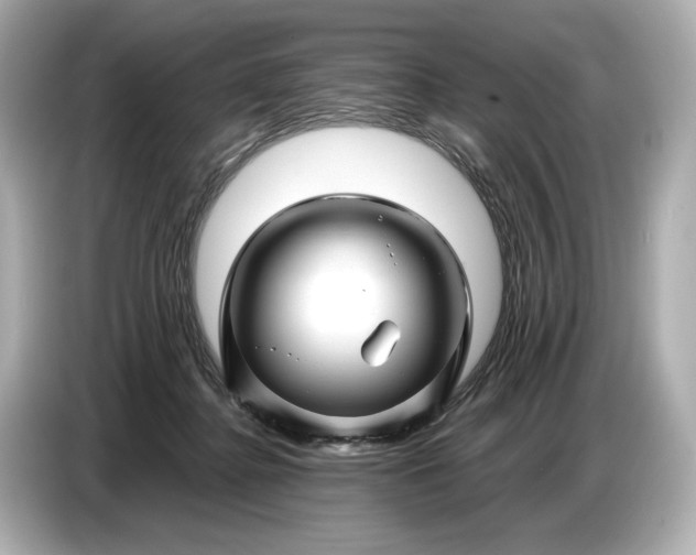 X0000086960364200704301242