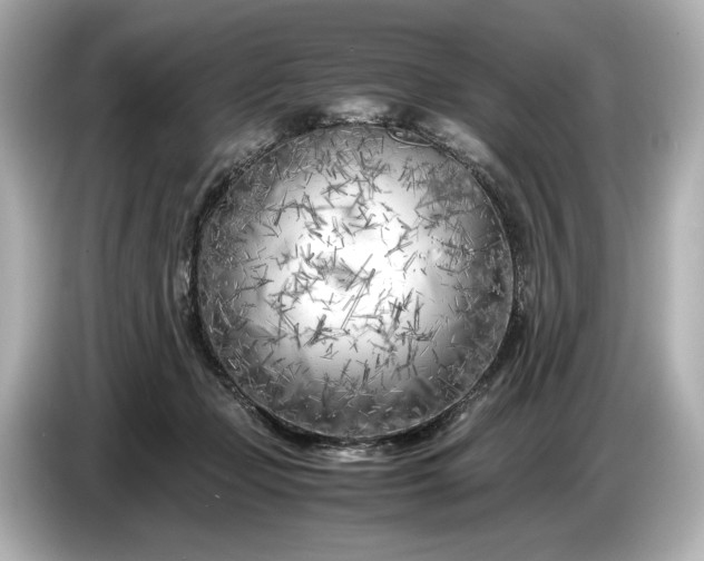 X0000086960365200704301242