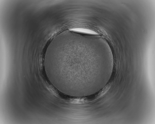 X0000086960366200704301242