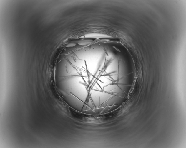 X0000086960367200704301242
