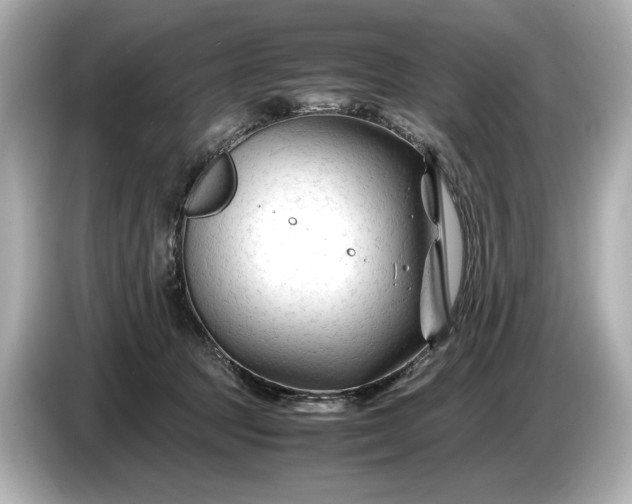 X0000086960369200704301242