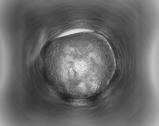 X0000086960371200704301242