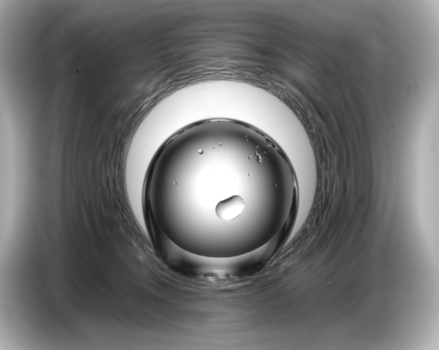 X0000086960372200704301242