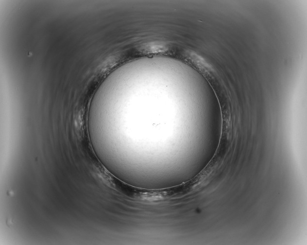 X0000086960373200704301242