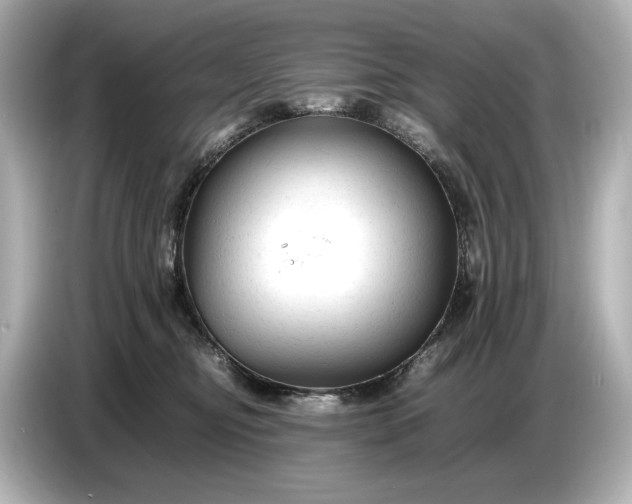X0000086960374200704301242