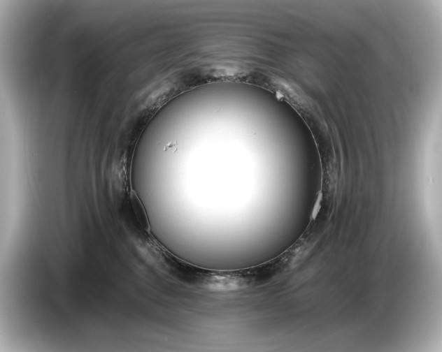 X0000086960376200704301242