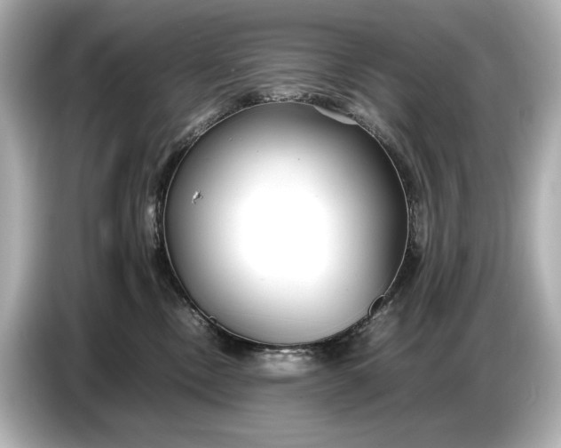X0000086960378200704301242