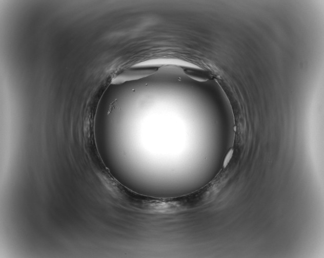 X0000086960379200704301242
