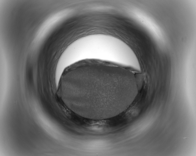 X0000086960382200704301242