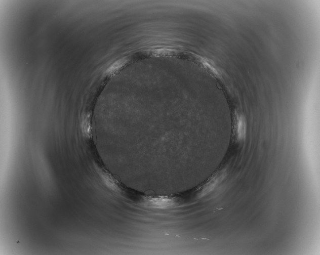X0000086960383200704301242