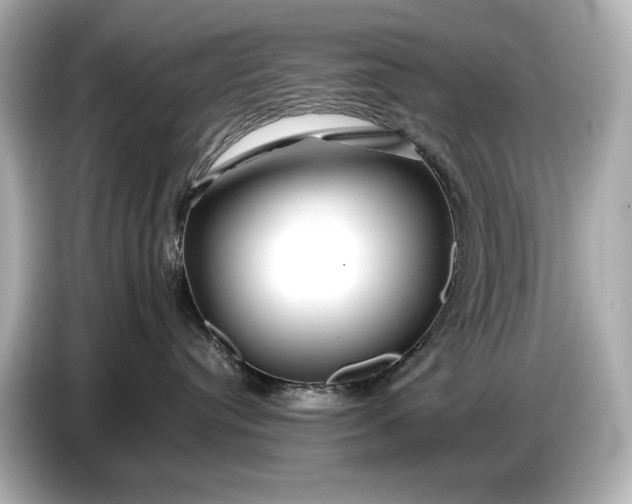X0000086960384200704301242