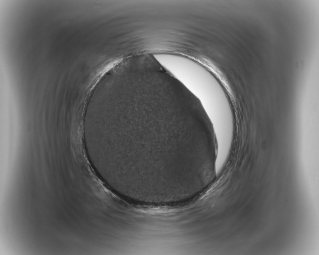 X0000086960385200704301242