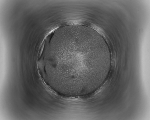 X0000086960386200704301242