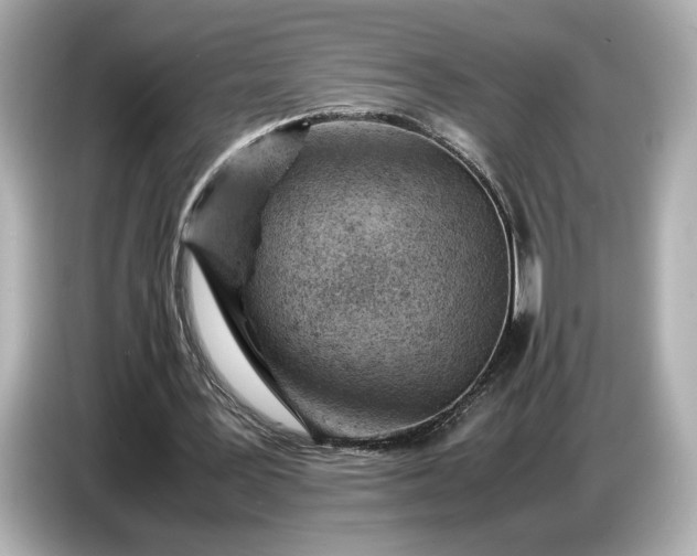 X0000086960387200704301242