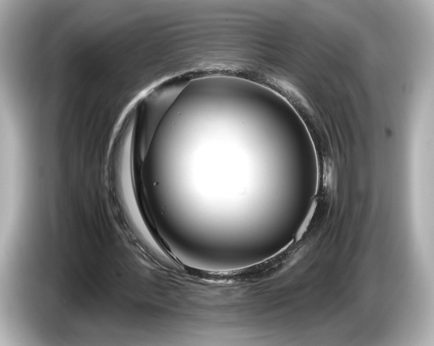 X0000086960388200704301242