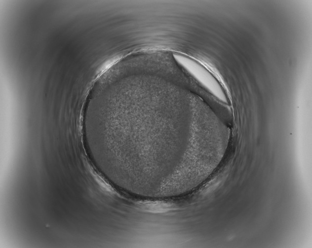 X0000086960389200704301242