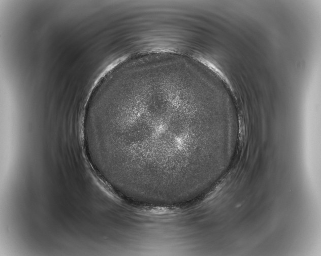 X0000086960390200704301242