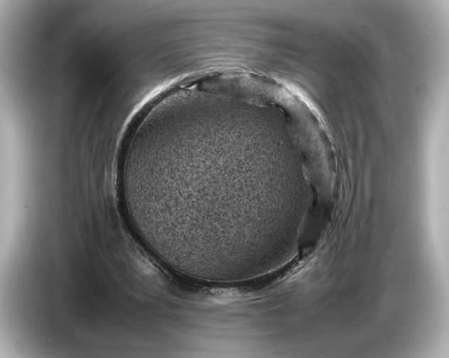 X0000086960391200704301242