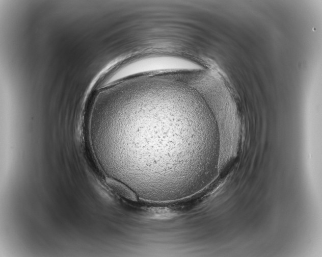 X0000086960392200704301242