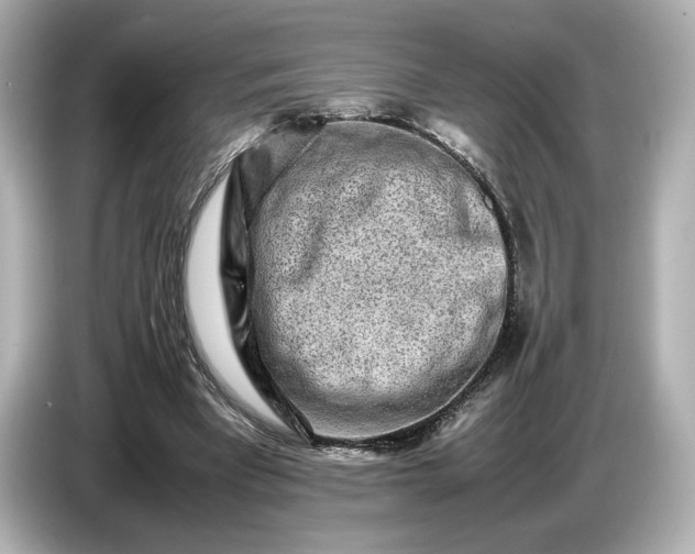 X0000086960393200704301242