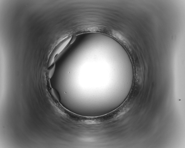 X0000086960394200704301242