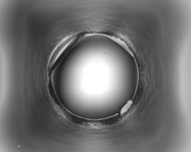 X0000086960395200704301242