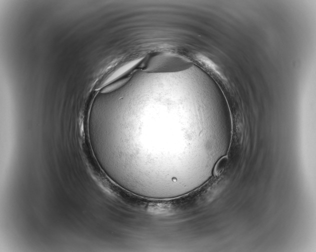 X0000086960398200704301242
