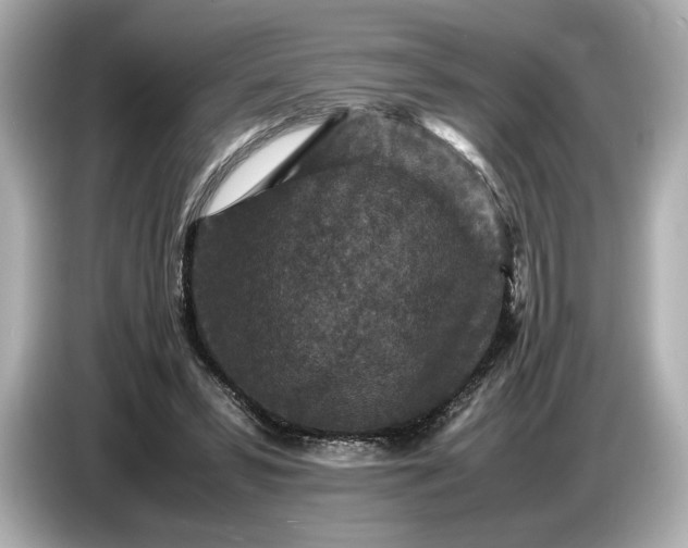X0000086960399200704301242