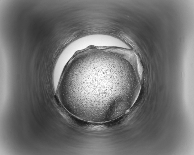 X0000086960401200704301242