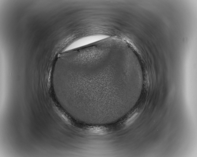 X0000086960402200704301242