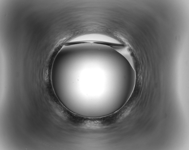 X0000086960403200704301242