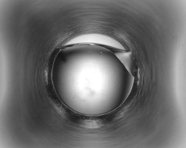 X0000086960404200704301242
