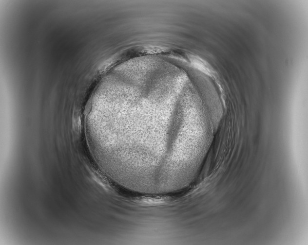 X0000086960405200704301241