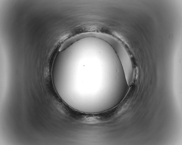 X0000086960407200704301241