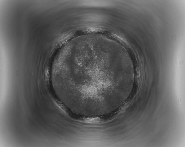 X0000086960410200704301241