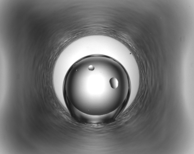 X0000086960411200704301241