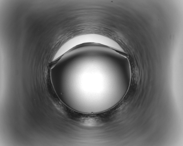 X0000086960412200704301241