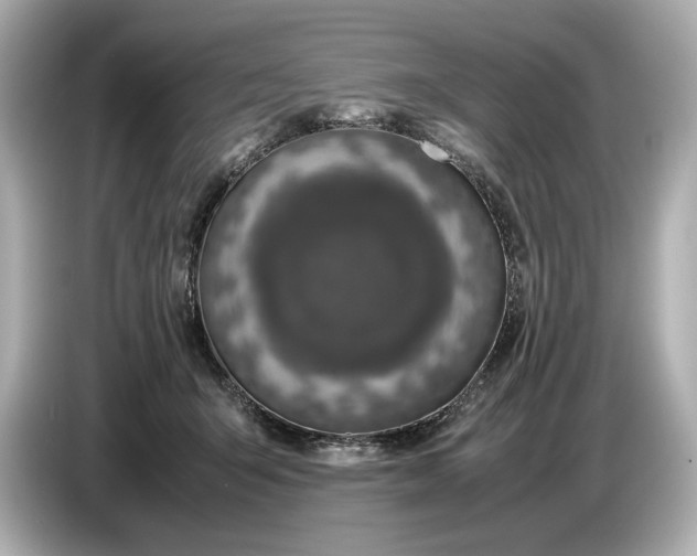 X0000086960415200704301241