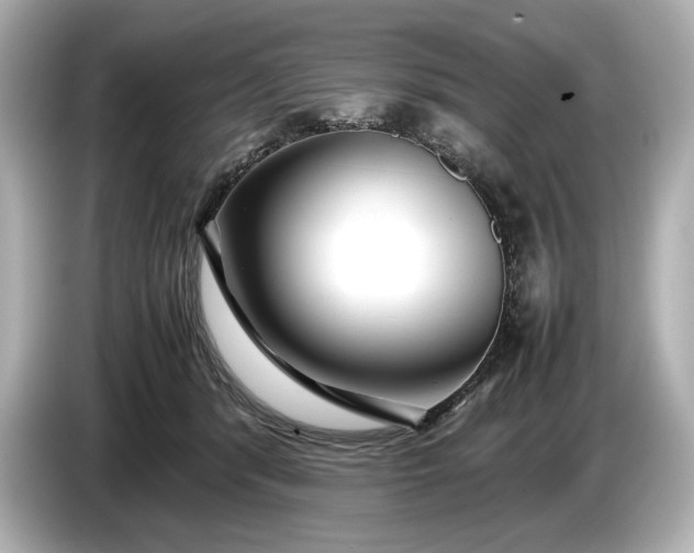 X0000086960416200704301241