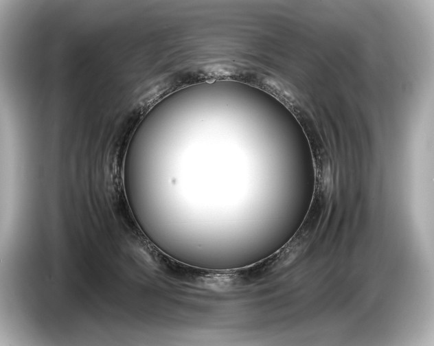 X0000086960418200704301241