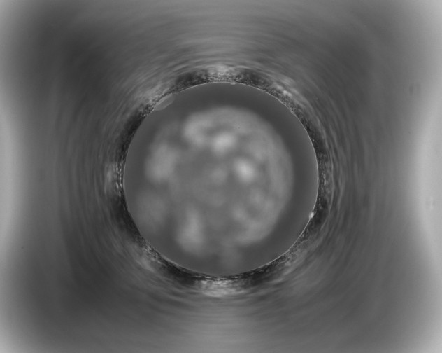 X0000086960419200704301241