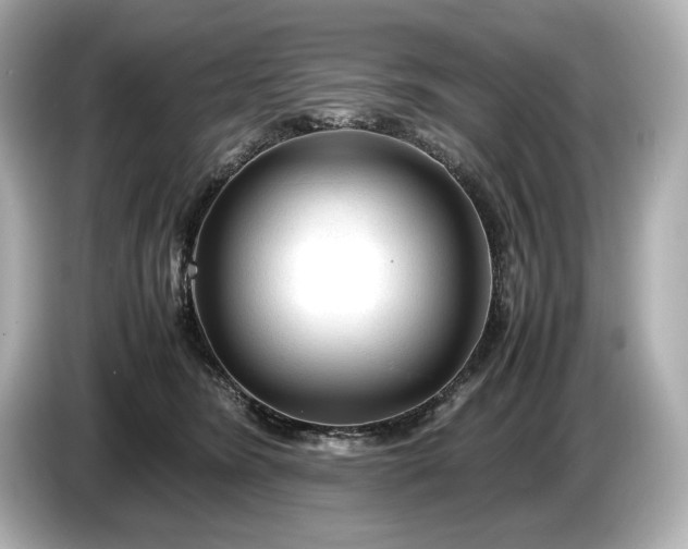 X0000086960420200704301241