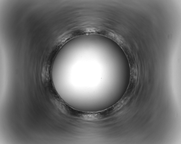 X0000086960422200704301241