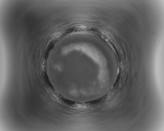 X0000086960423200704301241
