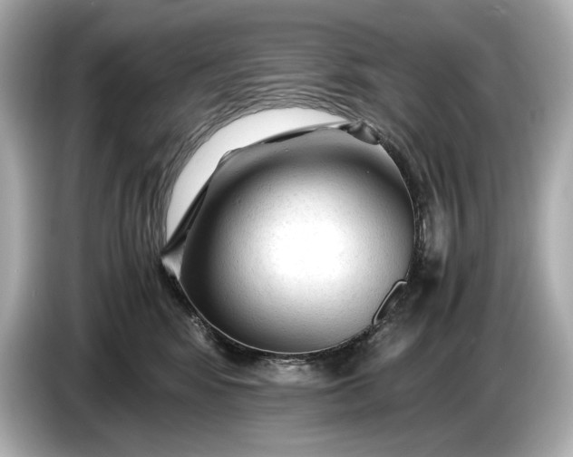 X0000086960424200704301241