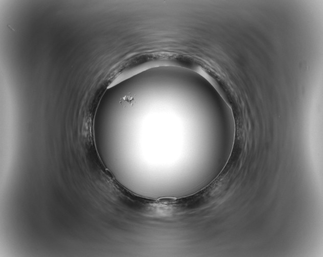 X0000086960425200704301241