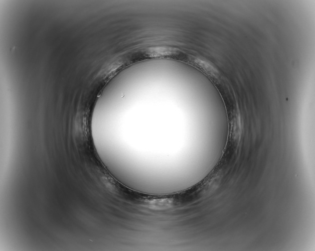 X0000086960426200704301241