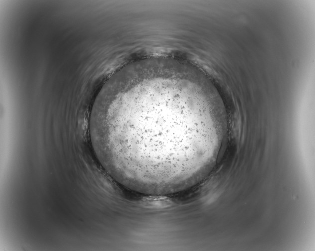 X0000086960427200704301241