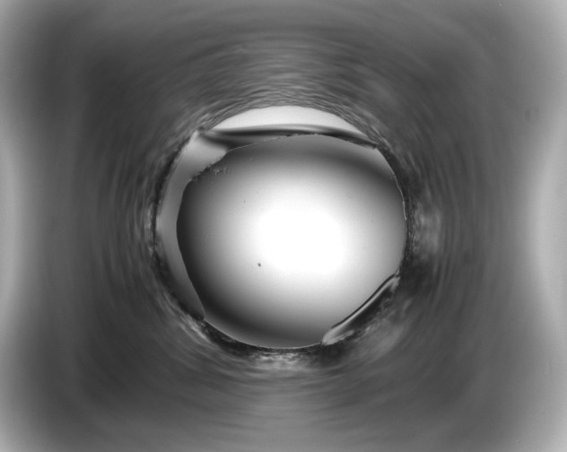 X0000086960428200704301241