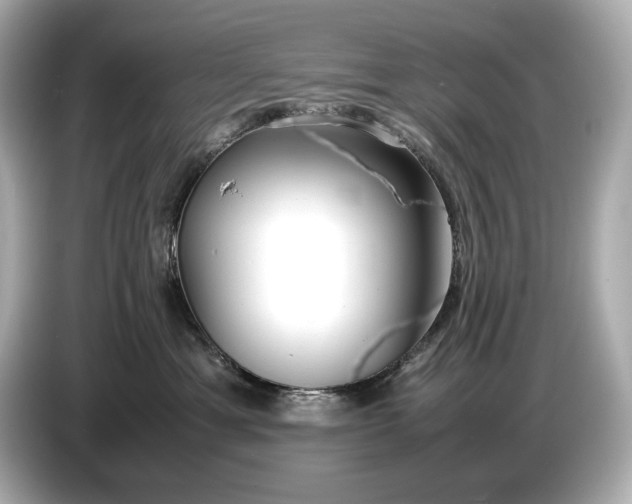 X0000086960429200704301241